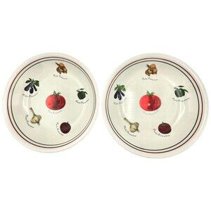 Pasta Primavera Bowls Set of 2 Vegetable Print Italian and Portugal Colours 9.5"